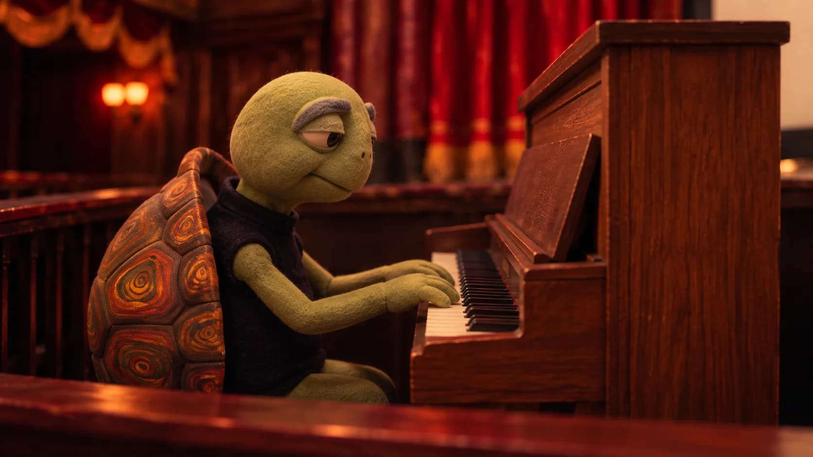 Before: the turtle pianist under brighter house lights